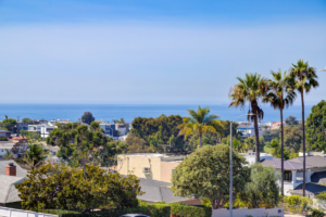 Tree Removal in Manhattan Beach: What You Need to Know