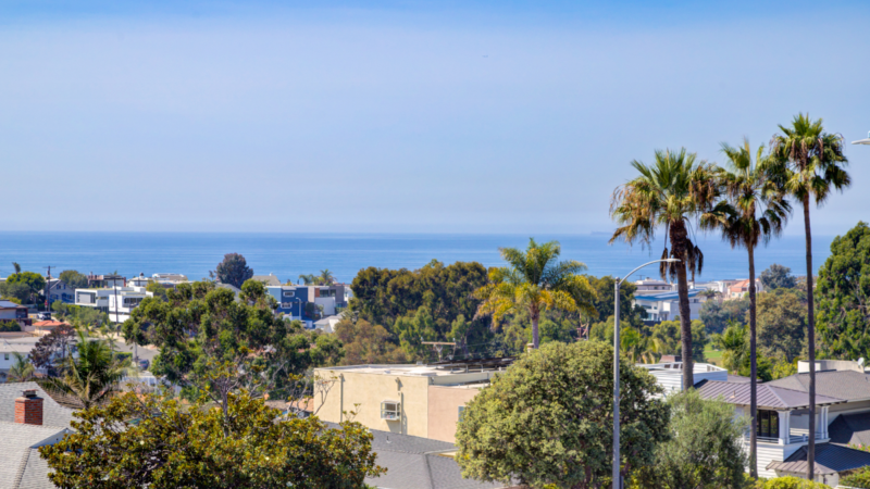 Tree Removal in Manhattan Beach: What You Need to Know