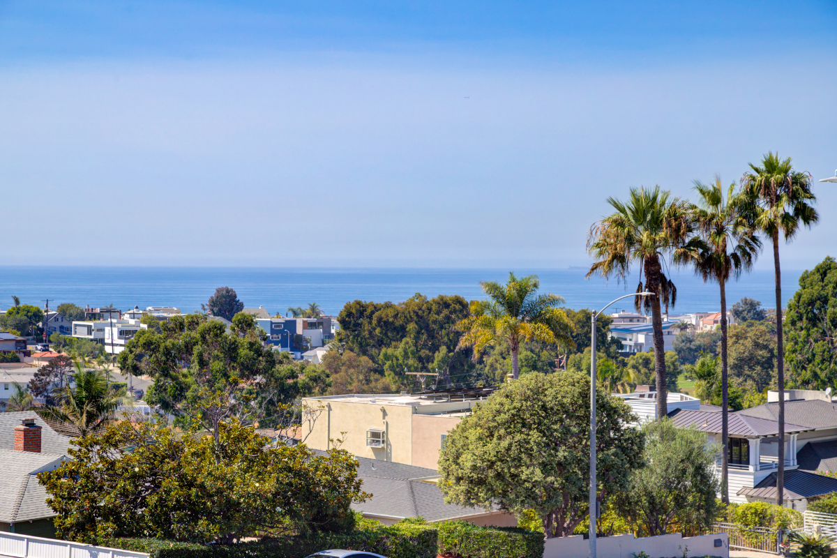 Tree Removal in Manhattan Beach: What You Need to Know