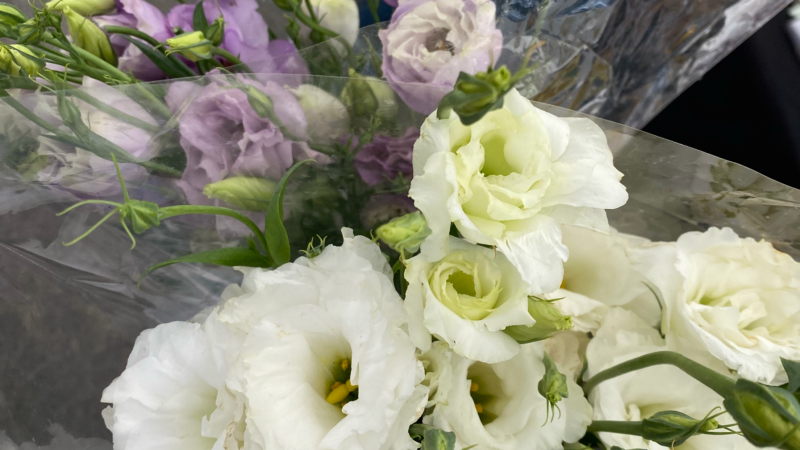Hermosa Beach Farmers Market
