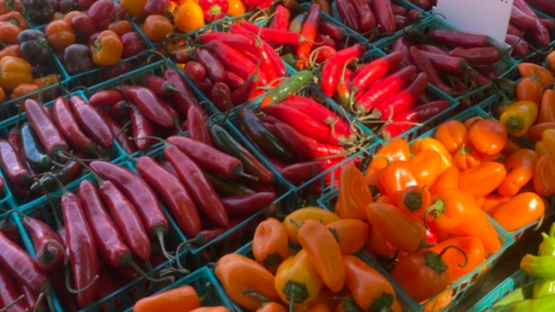 Manhattan Beach Farmers Market